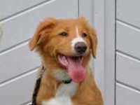 Stella 20100710