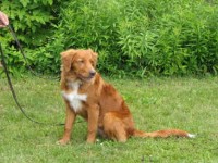 Kasper 08-07-12