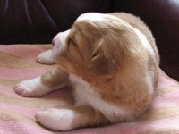 Maja 090315