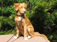 Lina 090509
