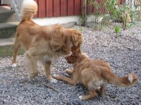 Isak busar med Fia, 070724