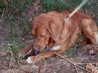 Kasper 2008-12-28