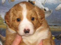 Maja 090328