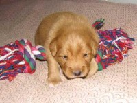 Lucas 2008-02-17