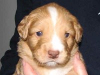 Lucy 090127