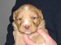 Lina 090127