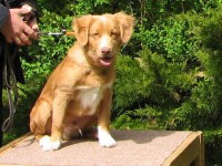 Chester 090509