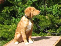 Kiwi 090509