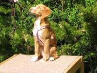 Lucy 090509
