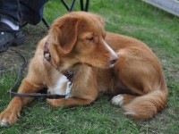 Nelly 20110501