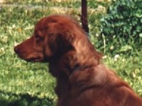 Peggy
