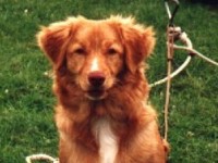 Penny