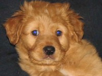 Tayson 25 februari