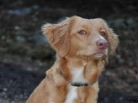 Kiwi 091107