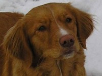 Viska 1 år Viska 1 år