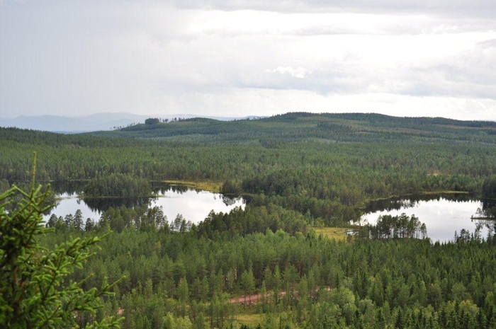 Utsikten är fantastisk när man kommer upp en bit