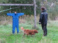 Wille vid Dumpe.