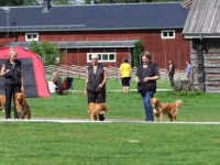 Aili och Tess i väntan på platsen i LKLII. 