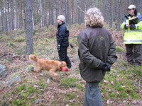 Johanna och Gösta