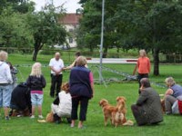 Kennelträff 2010
