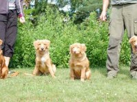 Kasper,Lucas, Amber och Mamma Lisa.