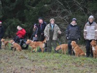 Gruppfoto valpträff 091107