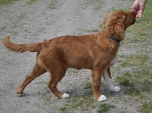 skipa0906